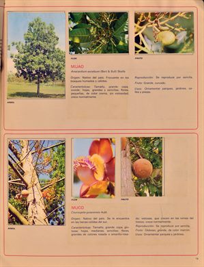 Venezuela en cromos 19