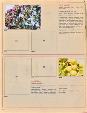 Venezuela en cromos 20