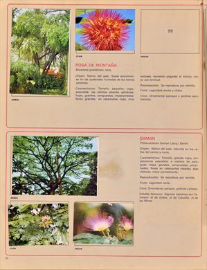 Venezuela en cromos 22