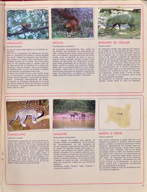 Venezuela en cromos 25