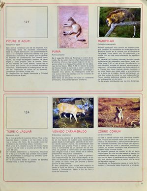 Venezuela en cromos 27