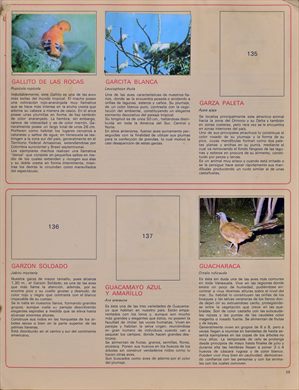 Venezuela en cromos 29