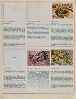 Venezuela en cromos 31