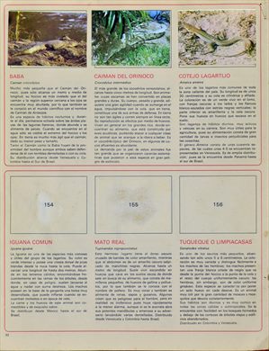 Venezuela en cromos 32