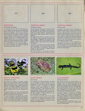 Venezuela en cromos 33
