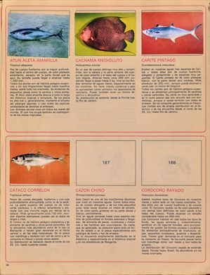 Venezuela en cromos 34