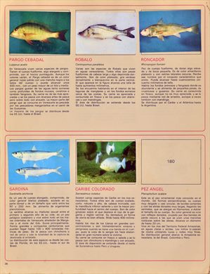 Venezuela en cromos 36