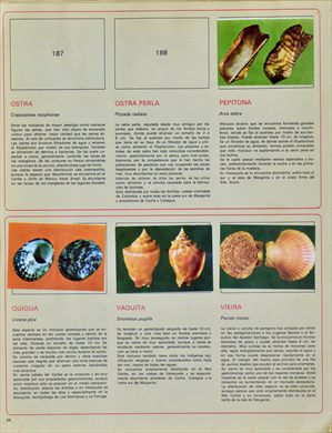 Venezuela en cromos 38
