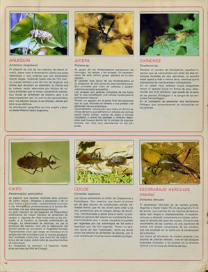 Venezuela en cromos 40