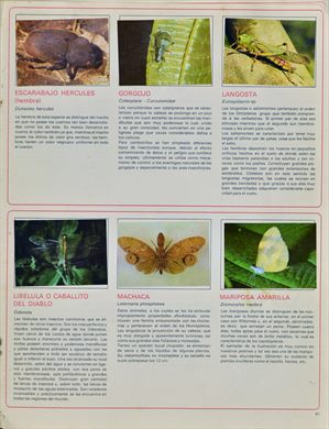 Venezuela en cromos 41