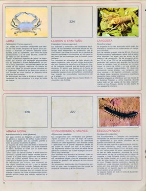 Venezuela en cromos 44