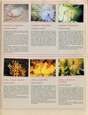Venezuela en cromos 45