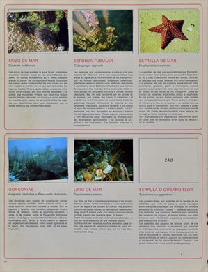 Venezuela en cromos 46