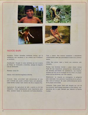 Venezuela en cromos 48