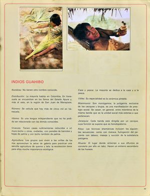 Venezuela en cromos 49