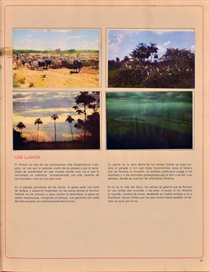 Venezuela en cromos 67