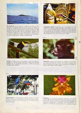 Venezuela Suya 64