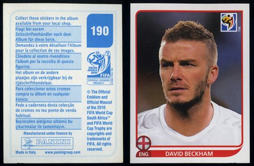 South Africa 2010 (Panini) 190