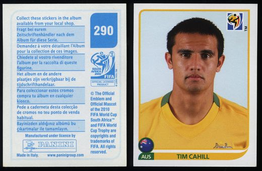 South Africa 2010 (Panini) 290