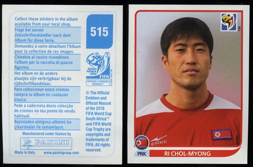 South Africa 2010 (Panini) 515