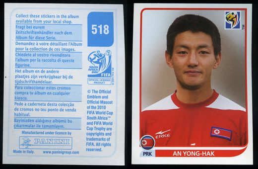 South Africa 2010 (Panini) 518