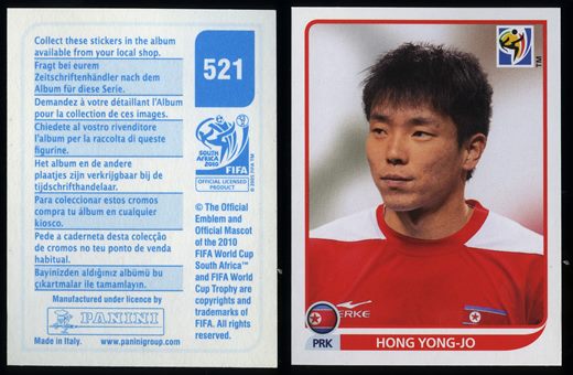 South Africa 2010 (Panini) 521
