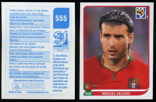 South Africa 2010 (Panini) 555