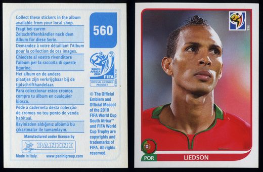 South Africa 2010 (Panini) 560