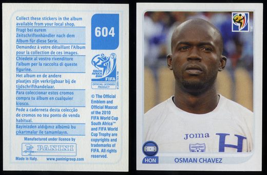 South Africa 2010 (Panini) 604