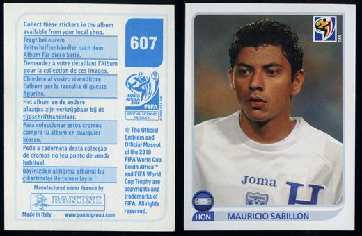 South Africa 2010 (Panini) 607