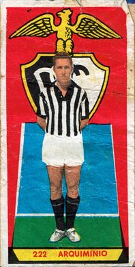 Grandes Campeoes do Futebol 222