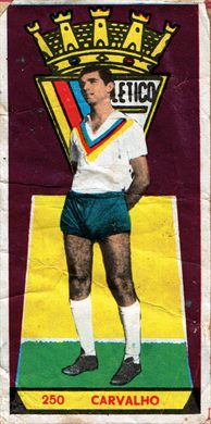 Grandes Campeoes do Futebol 250