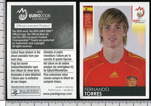 Euro 2008 - Fernando Torres