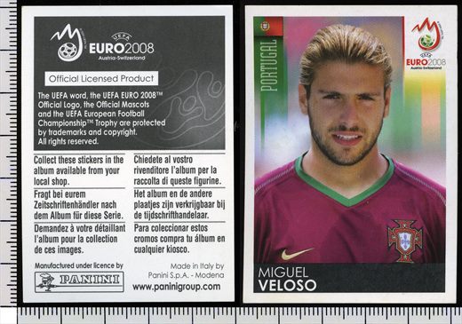 Euro 2008 - Miguel Veloso