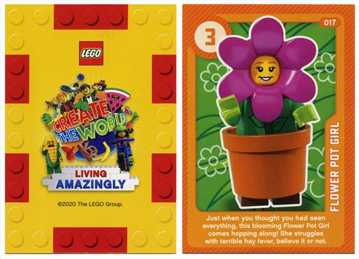 Sainsbury's Lego 017