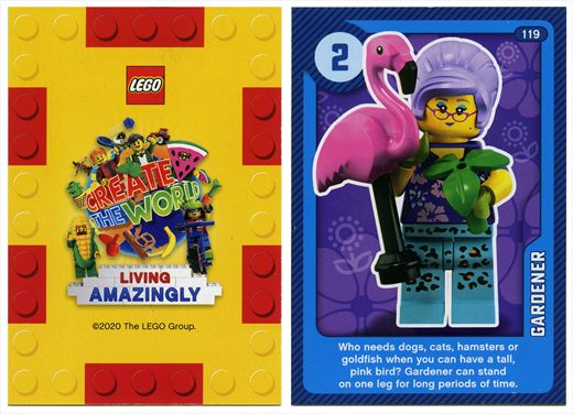 Sainsbury's Lego 119