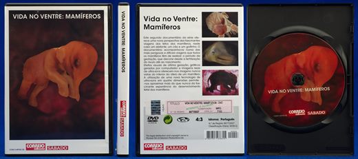 Vida no ventre - Mamiferos