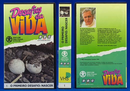Desafios da Vida 01