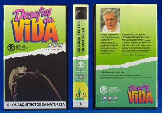 Desafios da Vida 06