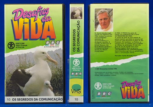 Desafios da Vida 10