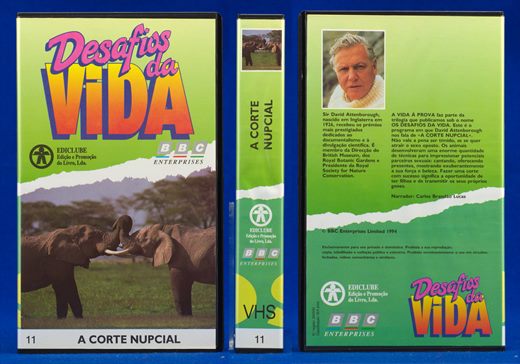 Desafios da Vida 11