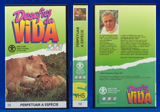 Desafios da Vida 12