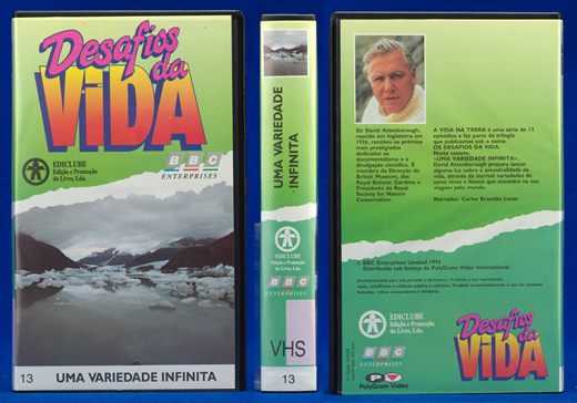 Desafios da Vida 13