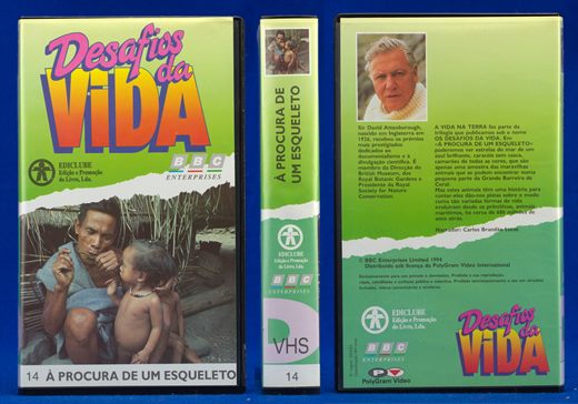 Desafios da Vida 14