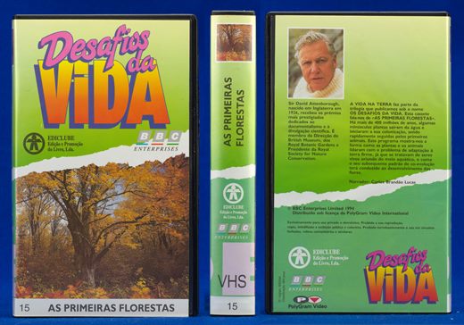 Desafios da Vida 15