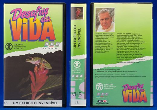 Desafios da Vida 16