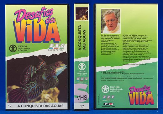 Desafios da Vida 17
