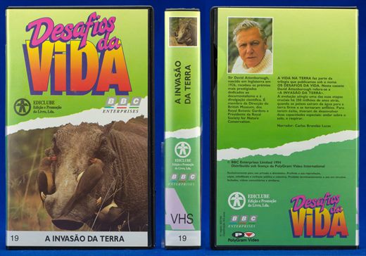 Desafios da Vida 19