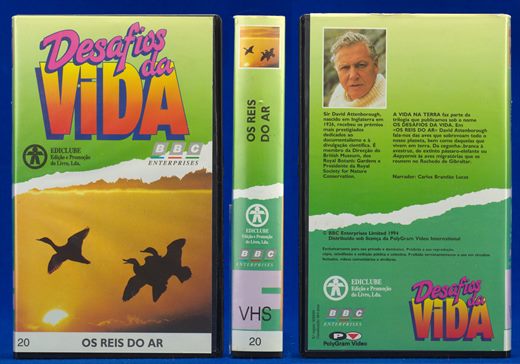 Desafios da Vida 20