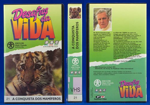Desafios da Vida 21